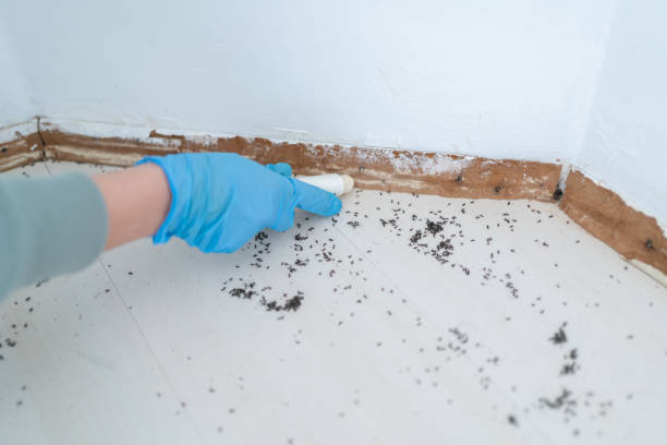 Alum Rock, CA Pest Control Company